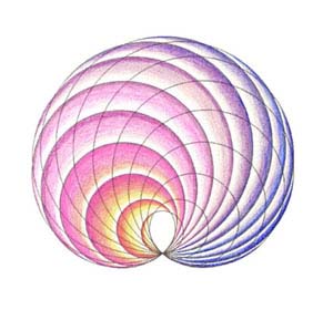 projektiivinen kukkanen